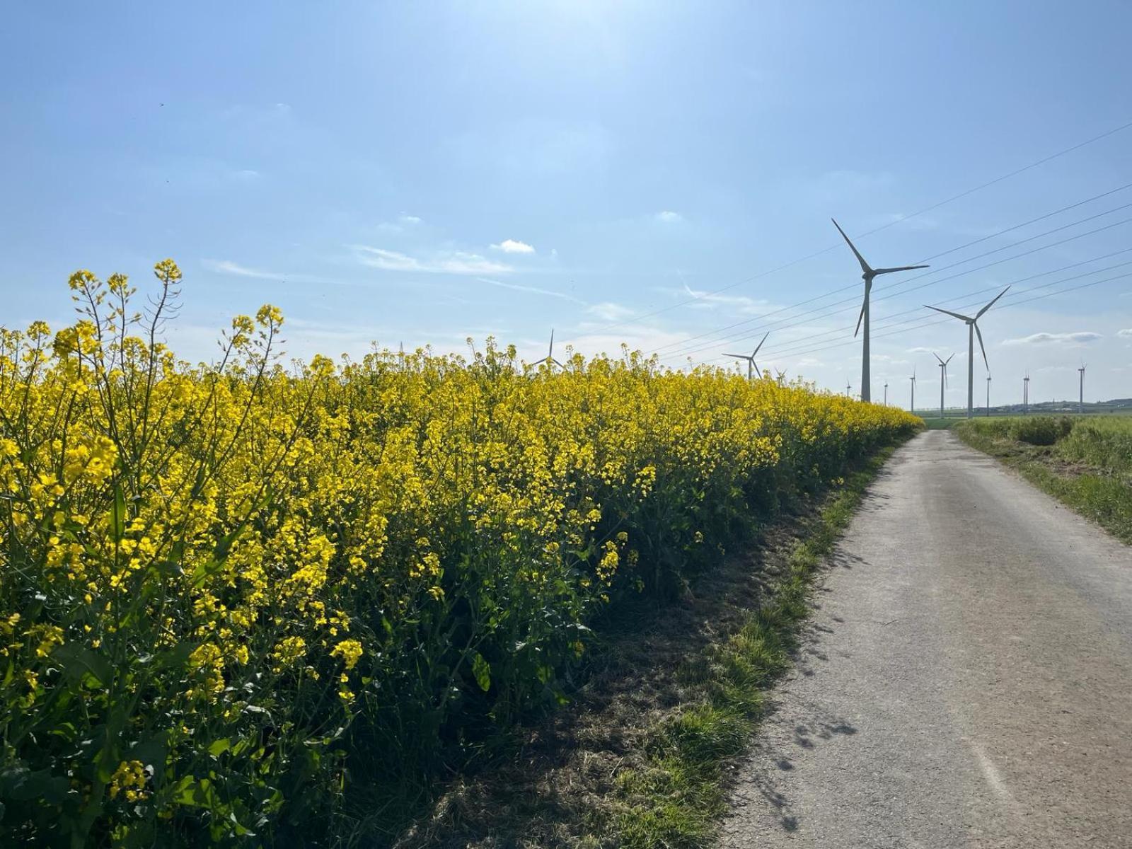 Kaisers Ferienhaus Kaifenheim Eksteriør bilde